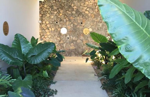 La Saline Les Bains Hotel | Dina Morgabine Saint Gilles