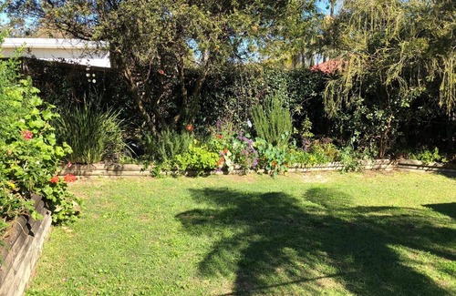 Dee Why House | Direct Ocean views - 2 mins walk to Dee Why beach