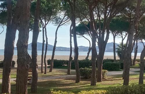 Argeles Plage Apartment | DIRECT PLAGE