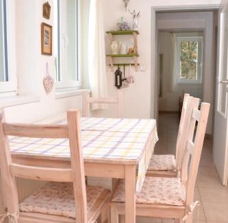 Jirin Apartment | DIVADELNÍ PENZION
