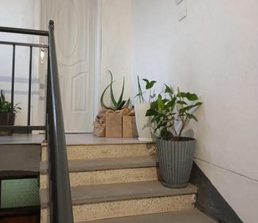 Mek'ele House | Diyasbora Lemlem studio