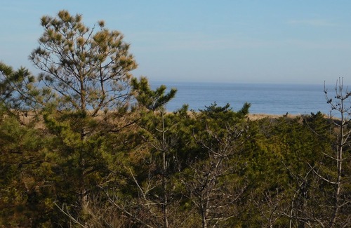 Bethany Beach House | Dog Friendly. End unit-one from beach. State park 32IH
