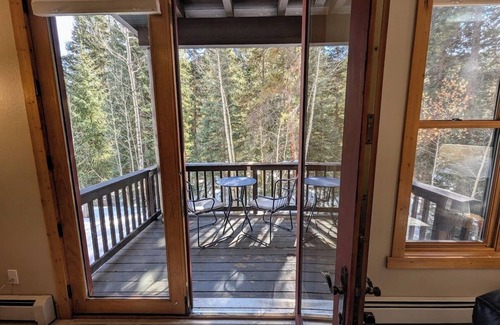 Keystone Condo | Dog friendly, hot tub, free shuttle