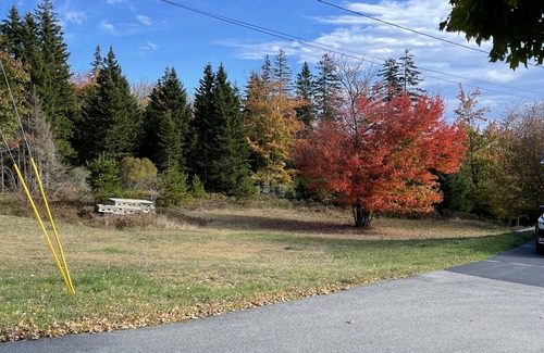 Vinalhaven House | Dog friendly, Spacious home, Steps from the Quarry and close to everything