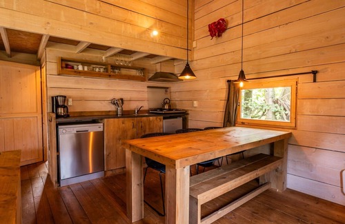 Ruinen Cabin | Dog Lodge 6