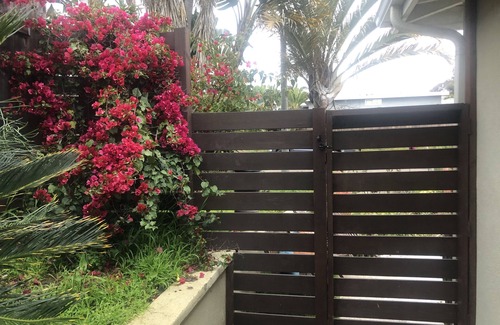 Encinitas House | Dogs are FREE🐾