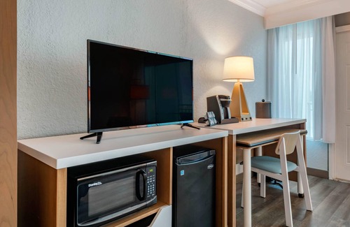 Clearwater Beach Hotel | Dolphin Sands Clearwater Beach, an Ascend Collection Hotel