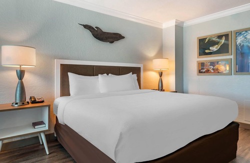 Clearwater Beach Hotel | Dolphin Sands Clearwater Beach, an Ascend Collection Hotel