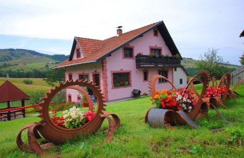 Zlatibor Apartment | Domaćinstvo Spasenić