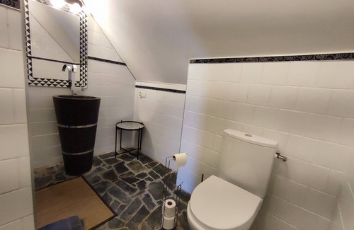 Monterolier Cottage | Domaine du Mesnil: sauna, jacuzzi, billiards, darts, swimming pool ideal for friends