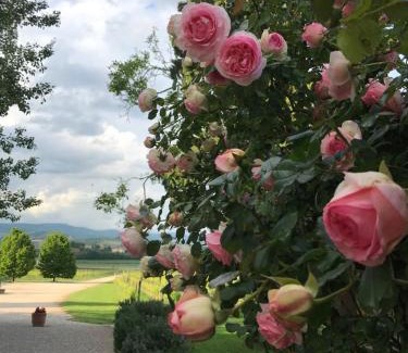 San Pietro in Cariano House | Domus Cariana