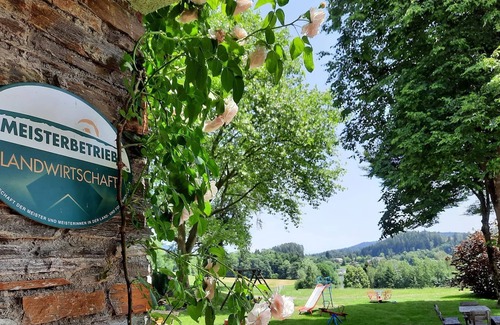 Feldkirchen in Kaernten Apartment | Doppelzimmer mit Balkon, Dusche, WC - Pension Hecher