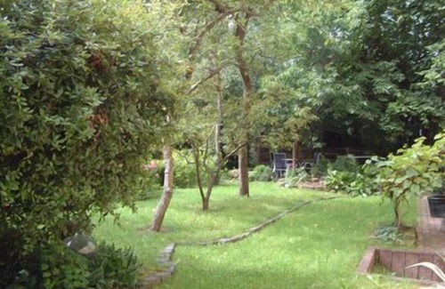 Blasewitz Apartment | Double room (36 m2) for 2-3 persons