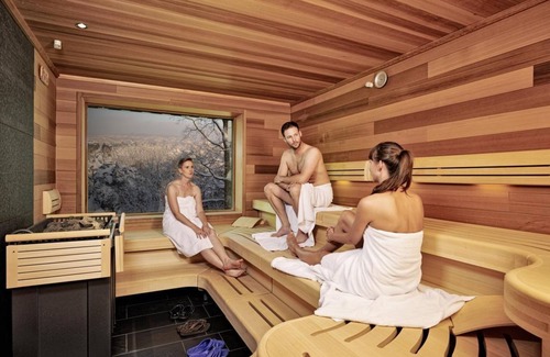 Bastei House | Double room, bath, WC, standard - Berghotel Bastei
