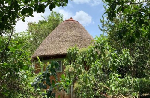 Mpigi Apartment | Double Room - Mpanga Nature Center