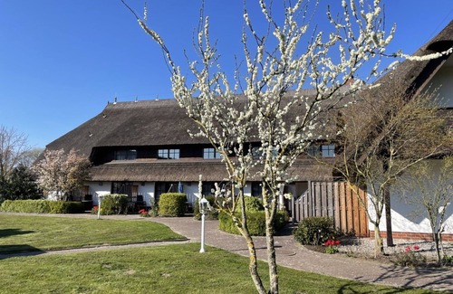 Sagard Apartment | Double room/No. 25 - 3* Appartementhotel Mare Balticum GmbH & Co KG