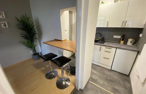 Brno-stred Apartment | Downtown Flat under Spilberk Castle