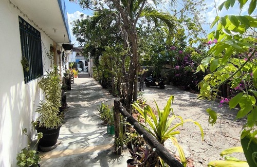 Colonia Adolfo Lopez Mateos Apartment | Downtown private studio, comfortable & calm, wi-fi, work area, a/c, & kitchen
