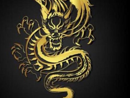 Fort-de-France House | Dragon Ghest