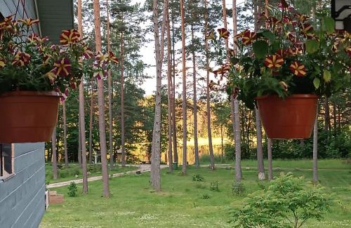 Limbazi Municipality House | Dreamcatcher