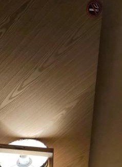 Chakvi Apartment | Dreamland Oasis 14-704 apartment