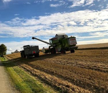Stange Municipality House | Drengstua på Dahl Østre