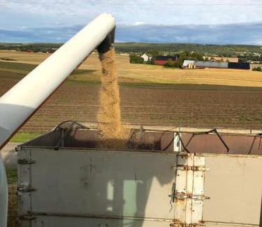 Stange Municipality House | Drengstua på Dahl Østre