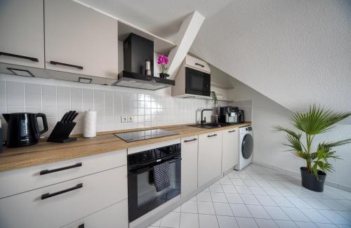 Blasewitz Apartment | DresdenStay Modern 3 Schlafzimmer Kamin PS4 Kicker