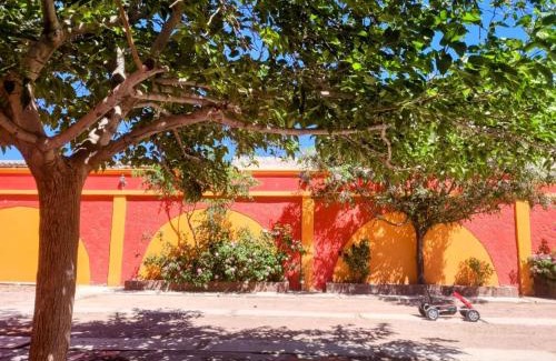 Juarez Municipality Apartment | Dulce rinconcito