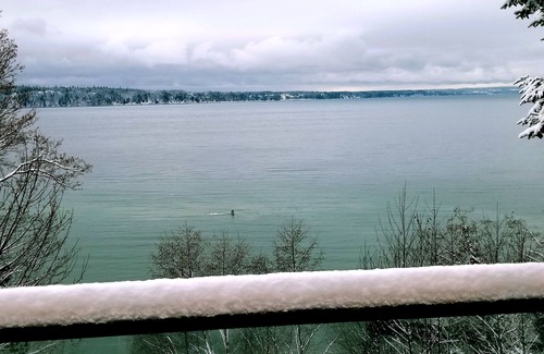 Tulalip House | Eagle Cove Waterfront Retreat for 20 w/Hot Tub, Firepit & Sweeping Island Views