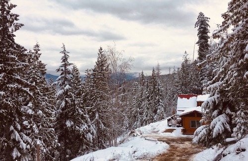 Blind Bay Cabin | Eagle's Nest - A cozy, semi-lakefront cabin with hot tub, wood burning fireplace