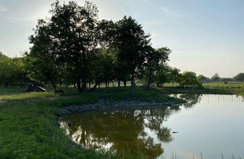Waco RV Rental | Eclipse Camping on Peaceful Mini Farm F1
