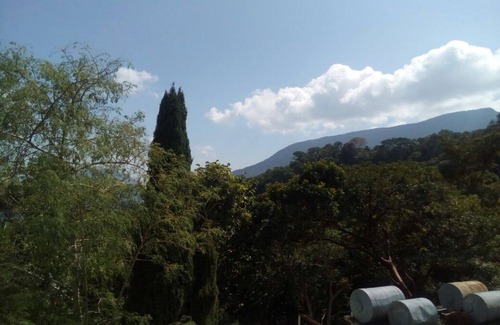 Pluma Hidalgo Bed & Breakfast | Eco Hotel El Refugio, In the mountains but near the sea - ROOM