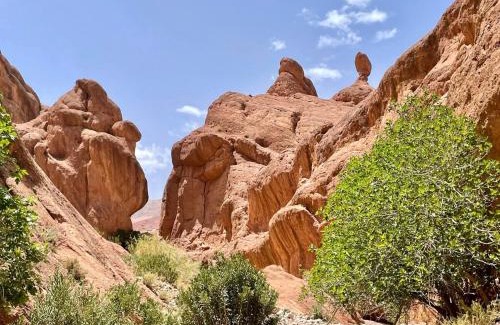 Souk Lakhmis Dades House | ECOLODGE MISS ROSE CHEZ LA FAMILLE