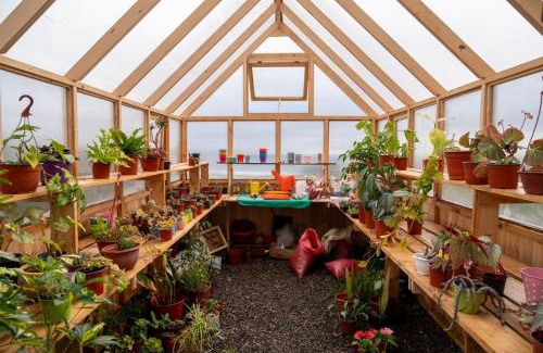 Quintero House | El Jardín de Zara