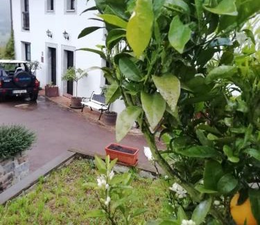 Priesca House | El Oteru I