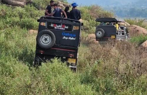 Damana Hotel | Elephant View Hotel