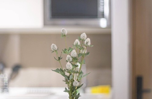 Nunoa Apartment | Encanto y comodidad en nuestro departamento