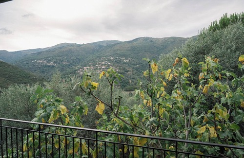 Artemisia House | Endless Green: Tranquil Mountain Retreat with Breathtaking Views