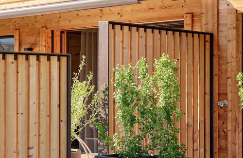 Meiringen Ski Chalet | Engelhorn view