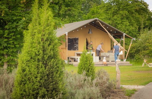 Nieuw Heeten House | Enjoy a luxurious glamping stay in the Villatent at Vakantiepark Sallandshoeve in Nieuw-Heeten, near Sallandse Heuvelrug National Park. Comfort and nature combined.