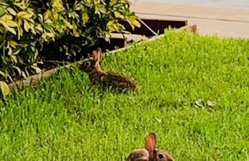 St. Petersburg - Clearwater Apartment | Enjoy million dollar sunsets in newly renovated private studio in private home.