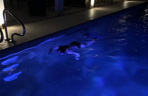 St. Petersburg - Clearwater Apartment | Enjoy million dollar sunsets in newly renovated private studio in private home.