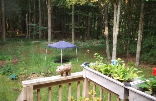 Fishs Eddy House | Enjoyable 4-bedroom house with fire stove and creek in charming Hankins