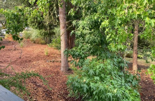 Independence House | Entire Home & Fenced Yard For Family & Pets