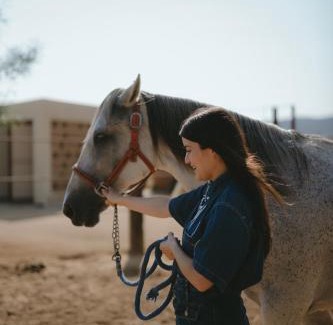Valle de Guadalupe Hotel | Equ Hotel Boutique