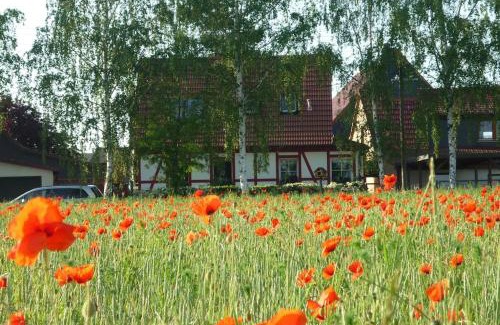 Utzberg House | Erpelhaus, ländliche Idylle mit Stadtnähe zu EF und WE Genius-Frühstück nicht im Preis enthalten, nur verfügbar
