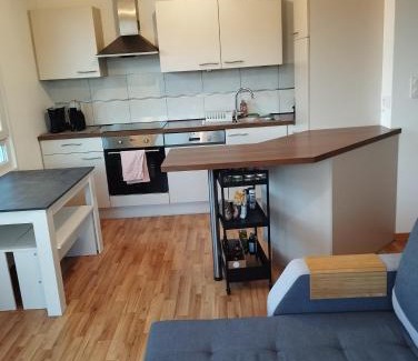 Horbourg-Wihr Apartment | Escapade cosy dans T2 lumineux, proche Colmar