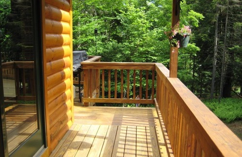 Old Forge Cabin | Escape & Enjoy a Cozy 3-bedroom cabin in wonderful Old Forge/Winter Season Ava