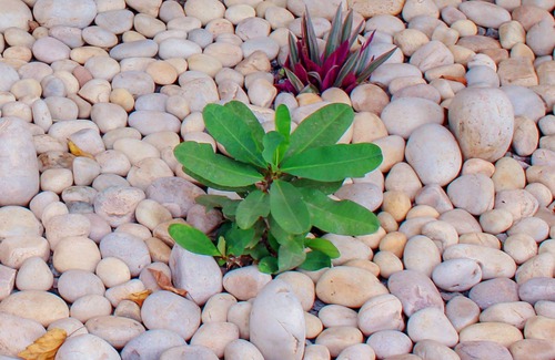 Bukoto House | Escape to Tranquility. A homely place close to everything but hidden from view.